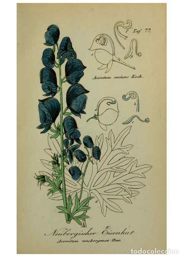 Collezionismo di Riviste e Giornali: Reproducci&oacute;n/Reproduction 6130863366: S&auml;mmtliche Giftgew&auml;chse Deutschlands Leipzig :F. Voight,1854 -