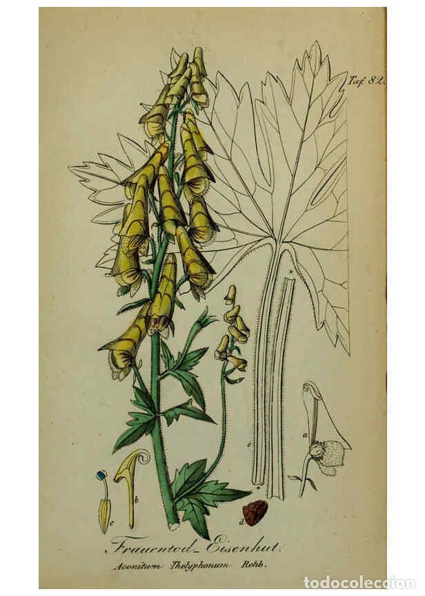 Collezionismo di Riviste e Giornali: Reproducci&oacute;n/Reproduction 6130864696: S&auml;mmtliche Giftgew&auml;chse Deutschlands Leipzig :F. Voight,1854 -