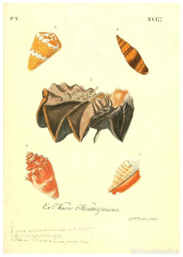 Collectionnisme de Revues et Journaux: Reproducci&oacute;n/Reproduction 6096654904: Vergn&uuml;gen der Augen und des Gem&uuml;ths. v.2 atlas. [Nuremberg :17