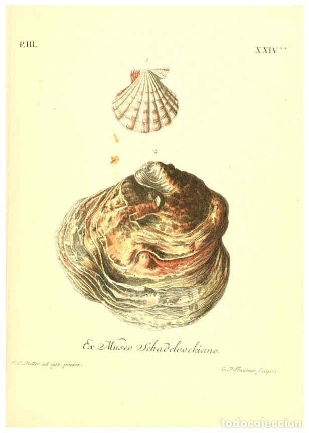 Collezionismo di Riviste e Giornali: Reproducci&oacute;n/Reproduction 6096641376: Vergn&uuml;gen der Augen und des Gem&uuml;ths. v.2 atlas. [Nuremberg :17