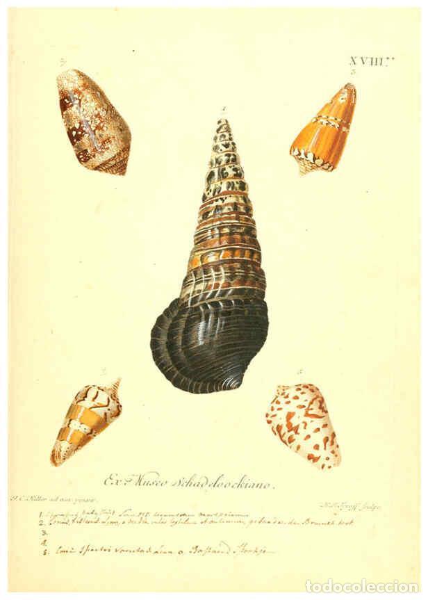 Coleccionismo de Revistas y Peri&oacute;dicos: Reproducci&oacute;n/Reproduction 6096639970: Vergn&uuml;gen der Augen und des Gem&uuml;ths. v.2 atlas. [Nuremberg :17