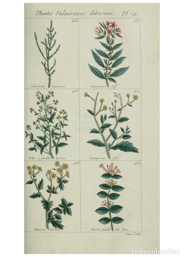 Collezionismo di Riviste e Giornali: Reproducci&oacute;n/Reproduction 6104008002: Plantes usuelles, indig&egrave;nes et exotiques Paris :Duprat-Duverge