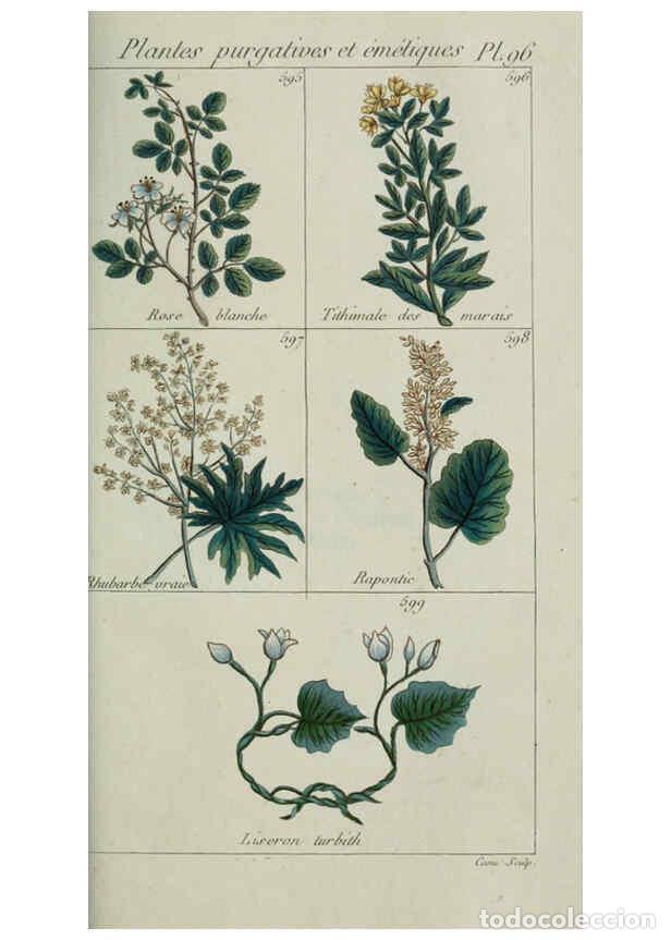 Colecionismo de Revistas e Jornais: Reproducci&oacute;n/Reproduction 6104013214: Plantes usuelles, indig&egrave;nes et exotiques Paris :Duprat-Duverge