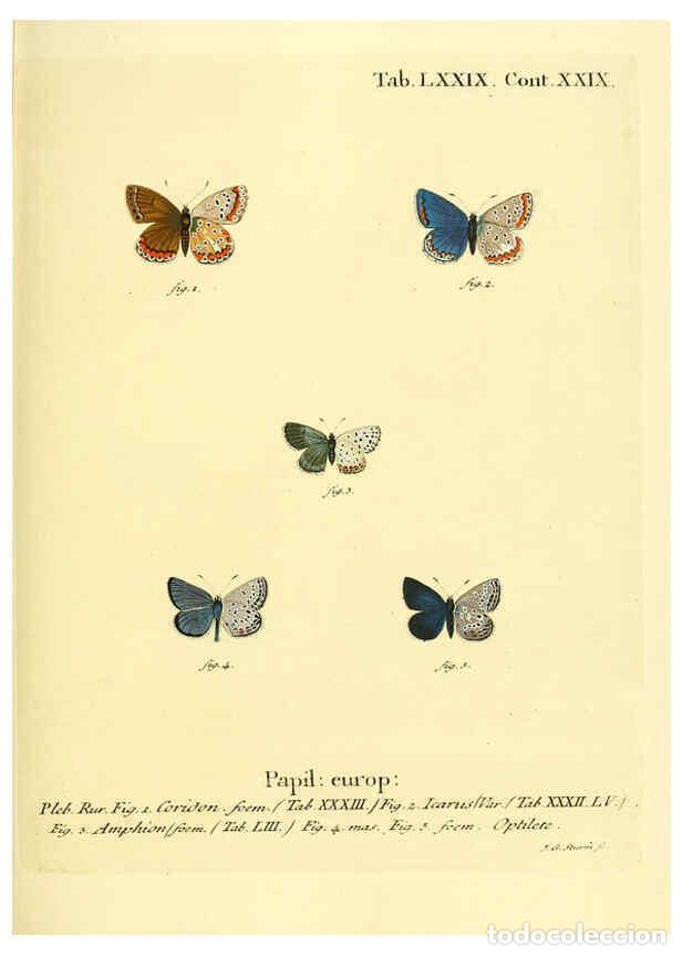 Collection Magazines and Newspapers: Reproducci&oacute;n/Reproduction 6103318404: Die Schmetterlinge in Abbildungen nach der Natur. v.1 plates.