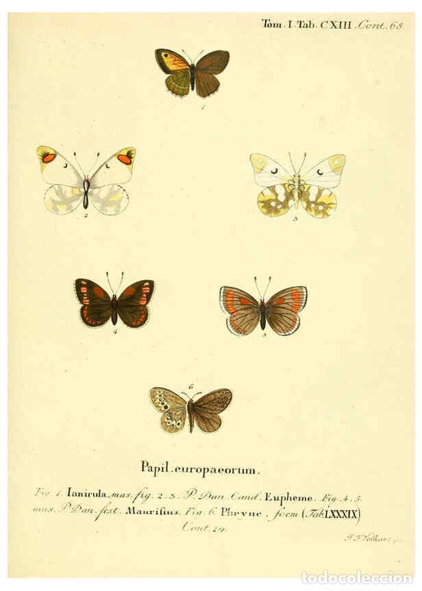 Collezionismo di Riviste e Giornali: Reproducci&oacute;n/Reproduction 6102782125: Die Schmetterlinge in Abbildungen nach der Natur. v.1 plates.