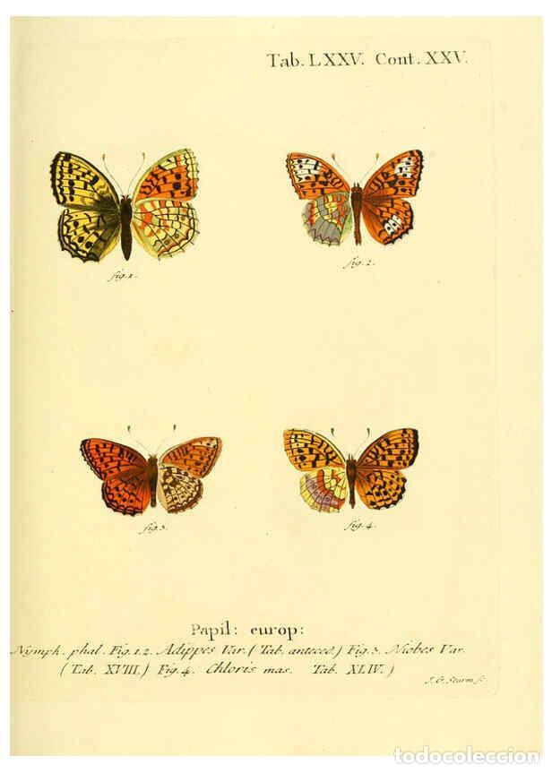 Collectionnisme de Revues et Journaux: Reproducci&oacute;n/Reproduction 6102771331: Die Schmetterlinge in Abbildungen nach der Natur. v.1 plates.