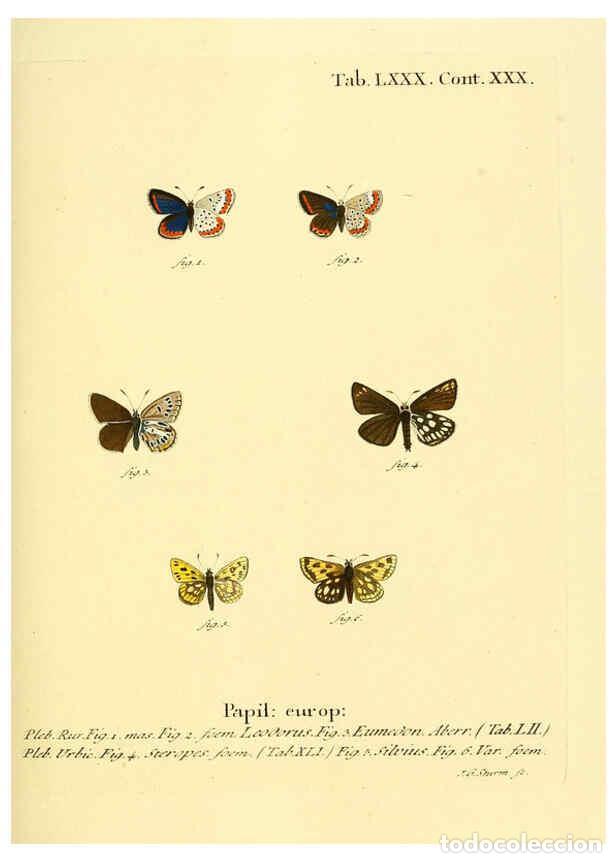 Collectionnisme de Revues et Journaux: Reproducci&oacute;n/Reproduction 6103318662: Die Schmetterlinge in Abbildungen nach der Natur. v.1 plates.