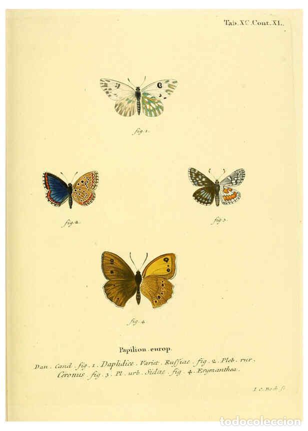 Collectionnisme de Revues et Journaux: Reproducci&oacute;n/Reproduction 6103321360: Die Schmetterlinge in Abbildungen nach der Natur. v.1 plates.