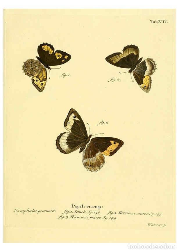 Collectionnisme de Revues et Journaux: Reproducci&oacute;n/Reproduction 6103215264: Die Schmetterlinge in Abbildungen nach der Natur. v.1 plates.