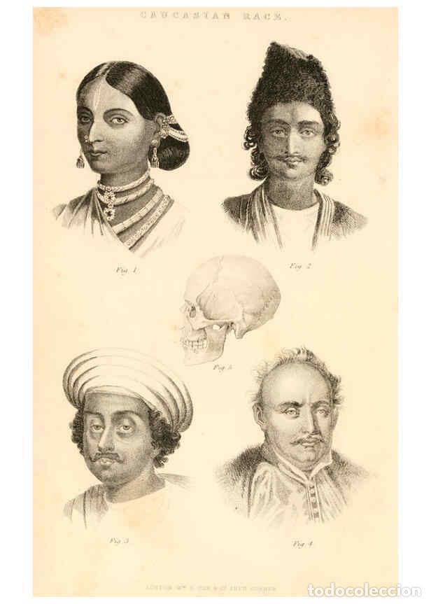 Collezionismo di Riviste e Giornali: Reproducci&oacute;n/Reproduction 6243493713: The animal kingdom, arranged after its organization London,W.