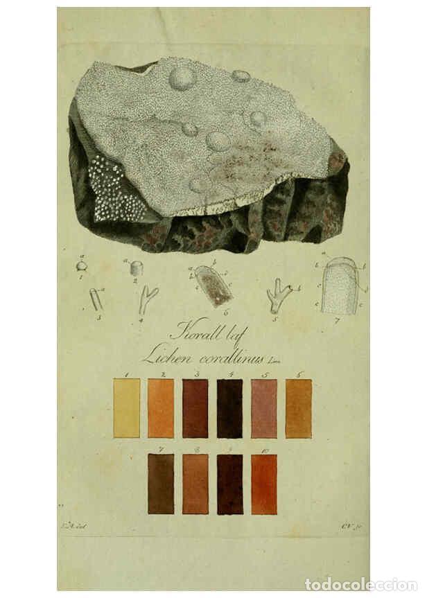 Collezionismo di Riviste e Giornali: Reproducci&oacute;n/Reproduction 6194458155: Svenska lafvarnas f&auml;rghistoria Stockholm :Tryckt hos C. Del&eacute;n,