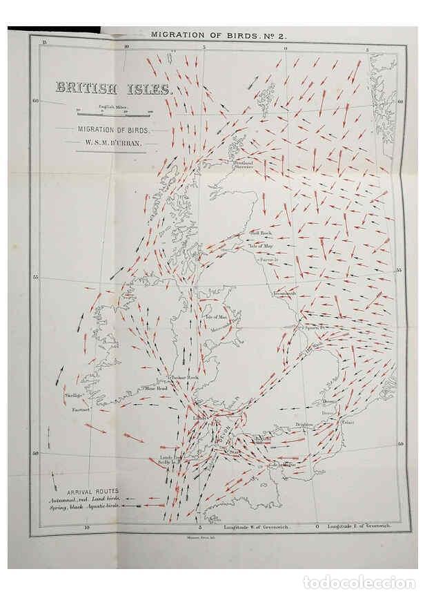 Collezionismo di Riviste e Giornali: Reproducci&oacute;n/Reproduction 6140210959: The birds of Devon London :R.H. Porter,1892 - William Samuel M