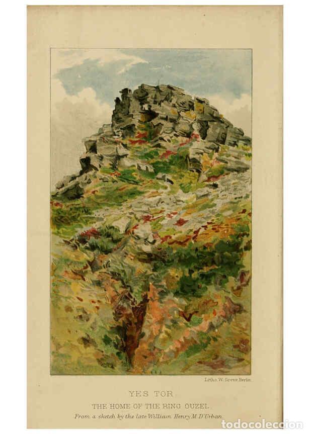 Collezionismo di Riviste e Giornali: Reproducci&oacute;n/Reproduction 6140760358: The birds of Devon London :R.H. Porter,1892 - William Samuel M