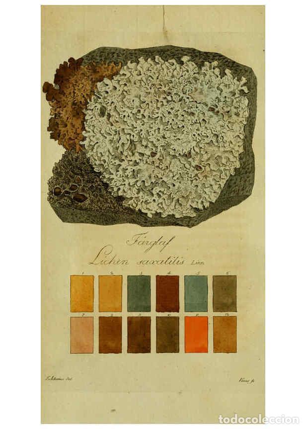 Collezionismo di Riviste e Giornali: Reproducci&oacute;n/Reproduction 6194973368: Svenska lafvarnas f&auml;rghistoria Stockholm :Tryckt hos C. Del&eacute;n,