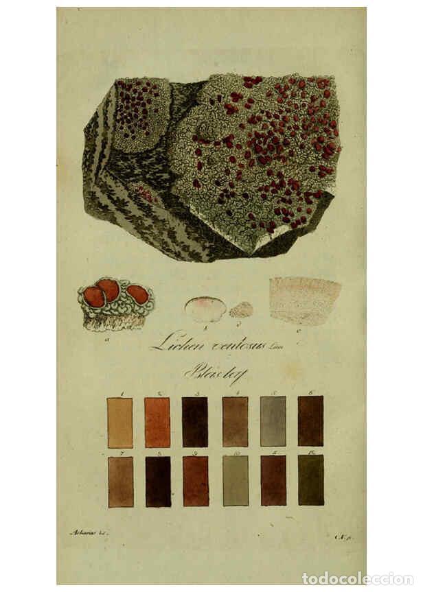 Collezionismo di Riviste e Giornali: Reproducci&oacute;n/Reproduction 6194457429: Svenska lafvarnas f&auml;rghistoria Stockholm :Tryckt hos C. Del&eacute;n,