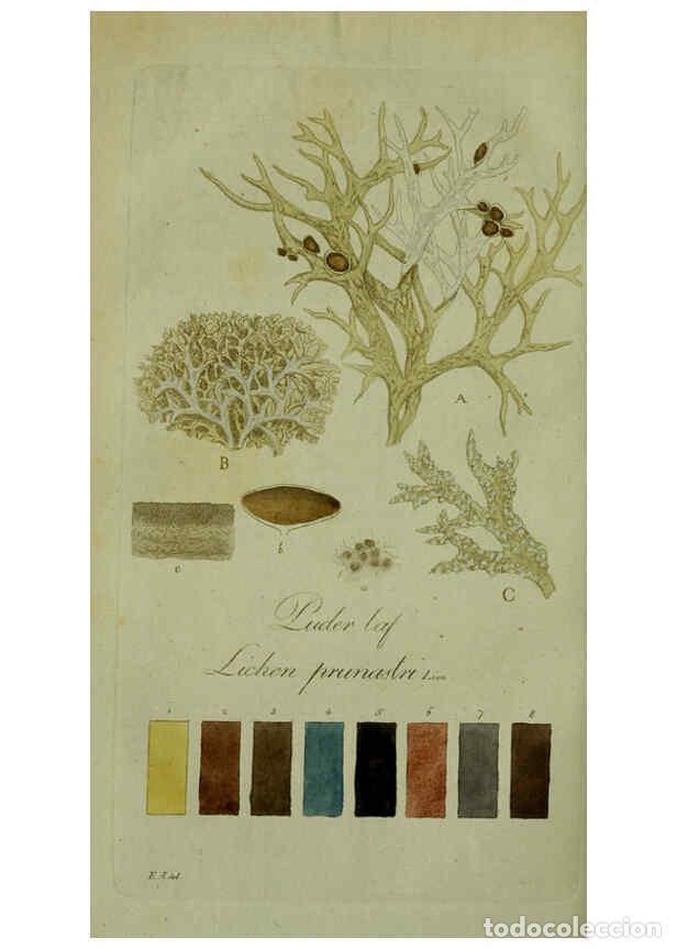 Collezionismo di Riviste e Giornali: Reproducci&oacute;n/Reproduction 6194975256: Svenska lafvarnas f&auml;rghistoria Stockholm :Tryckt hos C. Del&eacute;n,