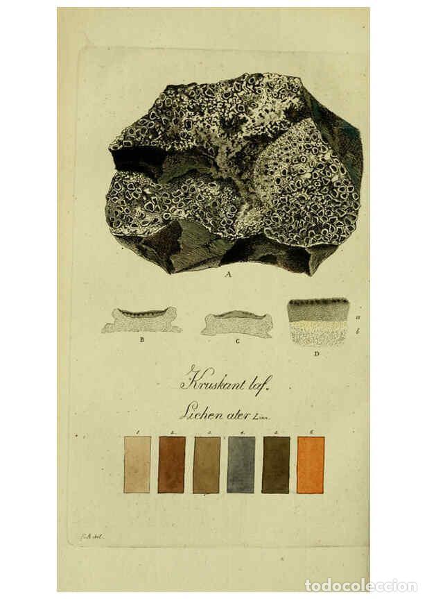 Collezionismo di Riviste e Giornali: Reproducci&oacute;n/Reproduction 6194975900: Svenska lafvarnas f&auml;rghistoria Stockholm :Tryckt hos C. Del&eacute;n,