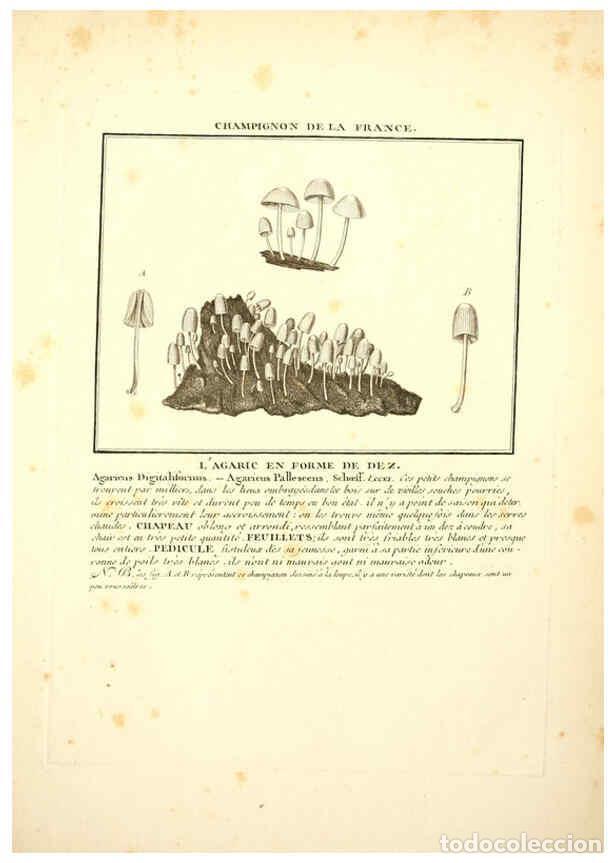 Collezionismo di Riviste e Giornali: Reproducci&oacute;n/Reproduction 6049528543: Herbier de la France. 1-48. Paris,Chez l'auteur, Didot, Debure