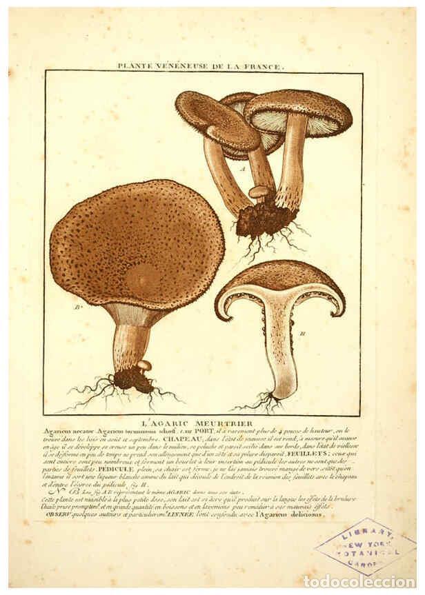 Collezionismo di Riviste e Giornali: Reproducci&oacute;n/Reproduction 6049525725: Herbier de la France. 1-48. Paris,Chez l'auteur, Didot, Debure