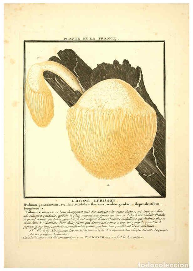 Collezionismo di Riviste e Giornali: Reproducci&oacute;n/Reproduction 6050085712: Herbier de la France. 1-48. Paris,Chez l'auteur, Didot, Debure