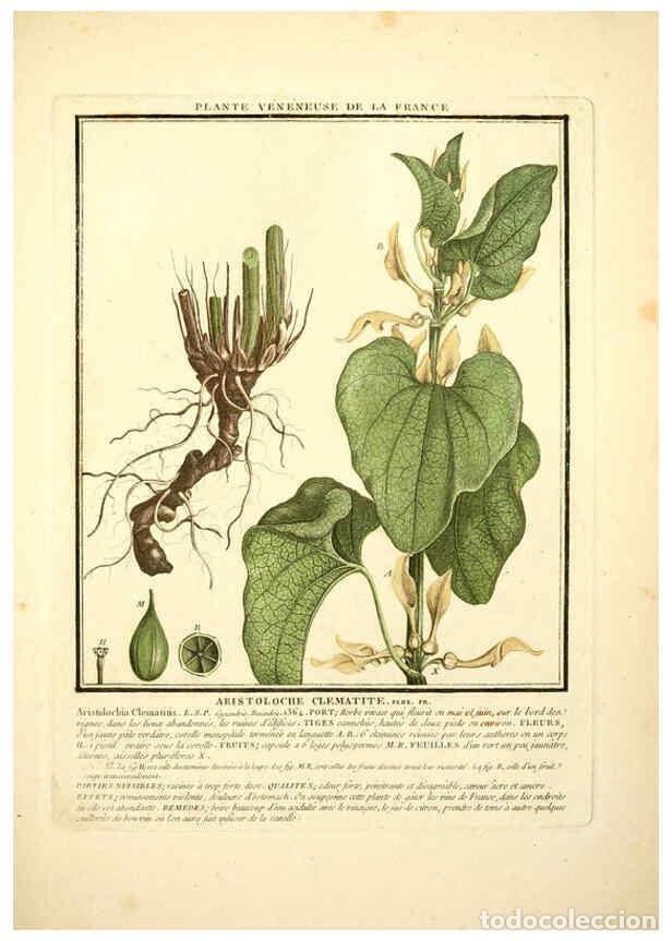 Collezionismo di Riviste e Giornali: Reproducci&oacute;n/Reproduction 6050087930: Herbier de la France. 1-48. Paris,Chez l'auteur, Didot, Debure