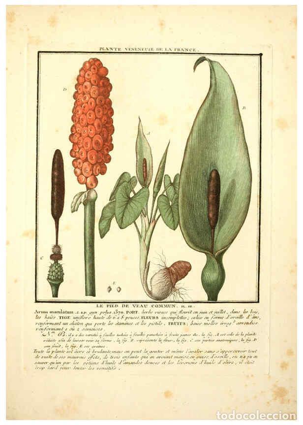 Collectionnisme de Revues et Journaux: Reproducci&oacute;n/Reproduction 6049529593: Herbier de la France. 1-48. Paris,Chez l'auteur, Didot, Debure