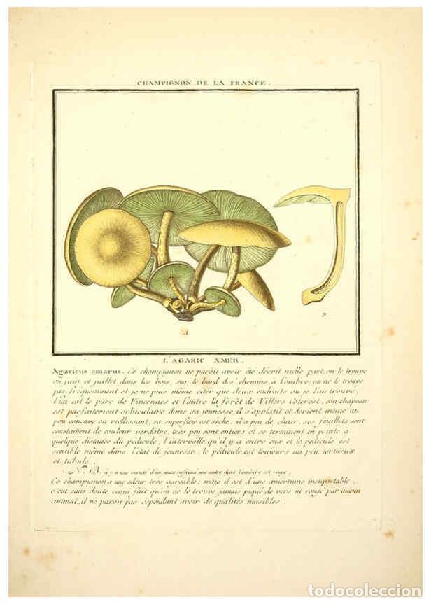 Collectionnisme de Revues et Journaux: Reproducci&oacute;n/Reproduction 6050083556: Herbier de la France. 1-48. Paris,Chez l'auteur, Didot, Debure