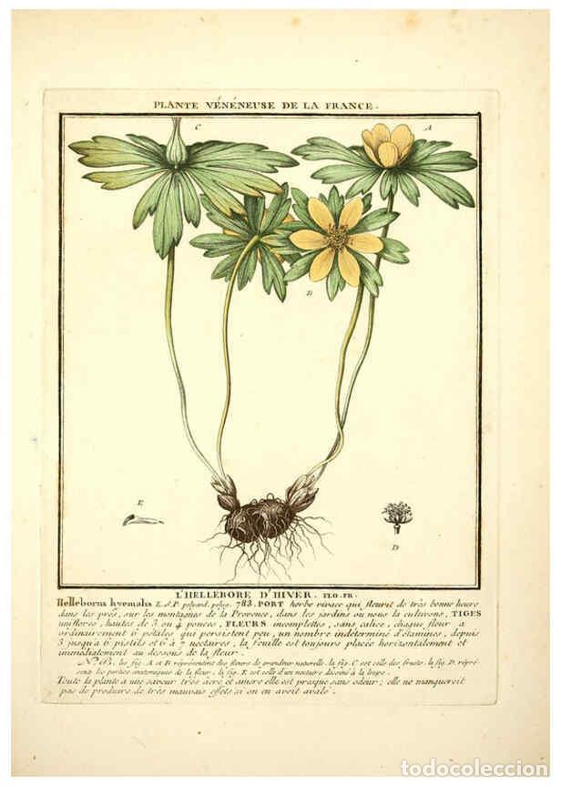 Collectionnisme de Revues et Journaux: Reproducci&oacute;n/Reproduction 6050086278: Herbier de la France. 1-48. Paris,Chez l'auteur, Didot, Debure