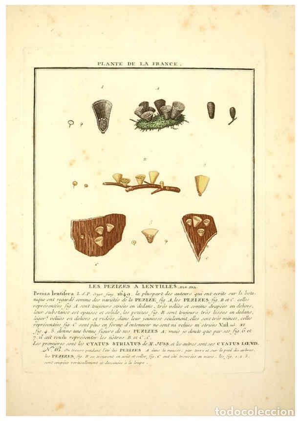 Collectionnisme de Revues et Journaux: Reproducci&oacute;n/Reproduction 6049535679: Herbier de la France. 1-48. Paris,Chez l'auteur, Didot, Debure