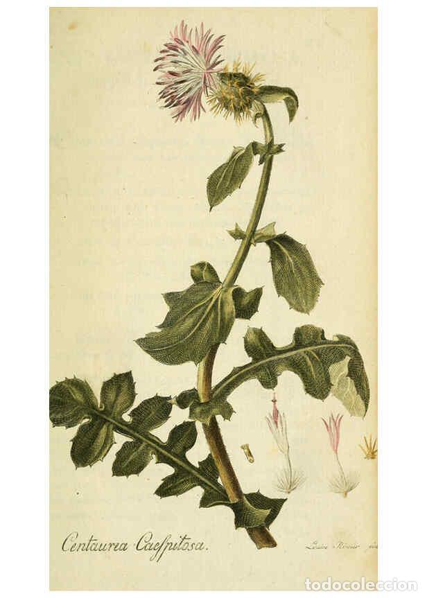 Coleccionismo de Revistas y Peri&oacute;dicos: Reproducci&oacute;n/Reproduction 6032616981: Flora Europaea inchoata. fasc.1-7. Norimbergae :Ex Officina Ra