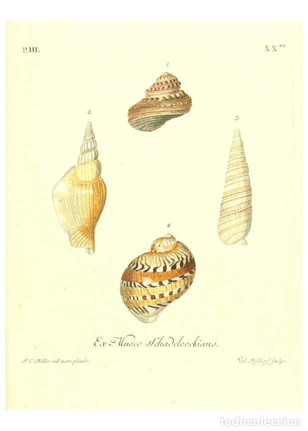 Colecionismo de Revistas e Jornais: Reproducci&oacute;n/Reproduction 6032342018: Les delices des yeux et de l'esprit. v.1 ptie 1-3. [Nuremberg