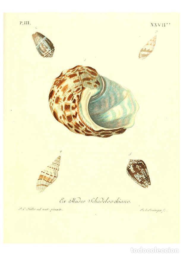 Coleccionismo de Revistas y Peri&oacute;dicos: Reproducci&oacute;n/Reproduction 6032343566: Les delices des yeux et de l'esprit. v.1 ptie 1-3. [Nuremberg