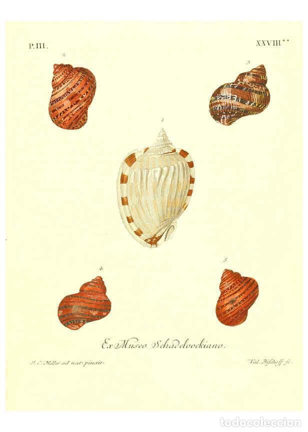 Sammeln von Zeitschriften und Zeitungen: Reproducci&oacute;n/Reproduction 6032343756: Les delices des yeux et de l'esprit. v.1 ptie 1-3. [Nuremberg