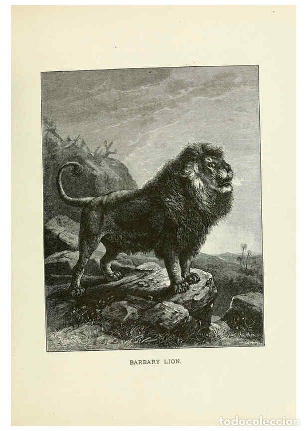 Coleccionismo de Revistas y Peri&oacute;dicos: Reproducci&oacute;n/Reproduction 6076439605: Our living world. v.1. New York :S. Hess,[1885] - John George