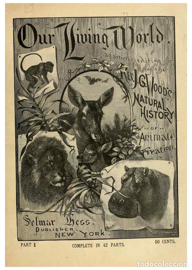 Coleccionismo de Revistas y Peri&oacute;dicos: Reproducci&oacute;n/Reproduction 6076973762: Our living world. v.1. New York :S. Hess,[1885] - John George