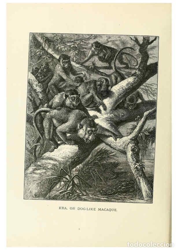 Collection Magazines and Newspapers: Reproducci&oacute;n/Reproduction 6076438663: Our living world. v.1. New York :S. Hess,[1885] - John George