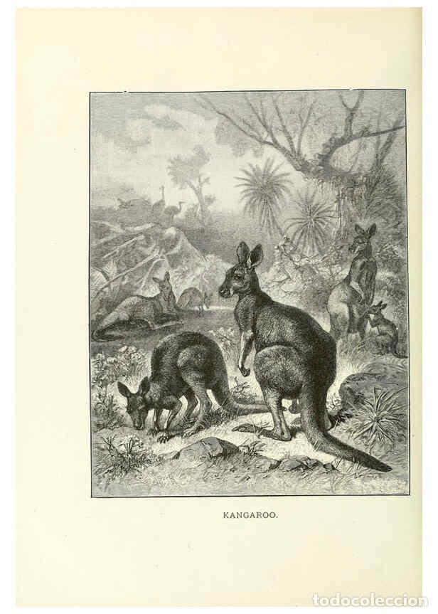 Collection Magazines and Newspapers: Reproducci&oacute;n/Reproduction 6076979068: Our living world. v.1. New York :S. Hess,[1885] - John George