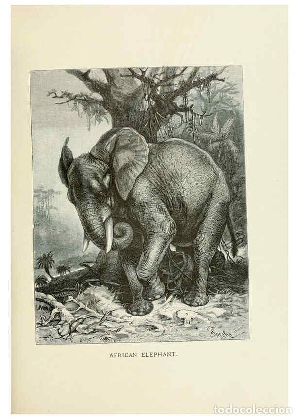 Collection Magazines and Newspapers: Reproducci&oacute;n/Reproduction 6076987954: Our living world. v.1. New York :S. Hess,[1885] - John George