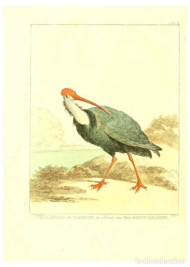 Coleccionismo de Revistas y Peri&oacute;dicos: Reproducci&oacute;n/Reproduction 6056170607: Natuurkundige beschryving eener uitmuntende verzameling van ze