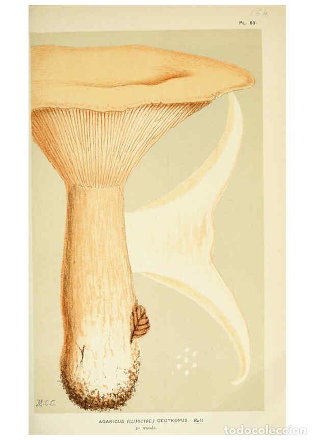 Colecionismo de Revistas e Jornais: Reproducci&oacute;n/Reproduction 6056192802: Illustrations of British fungi (Hymenomycetes) London,Williams