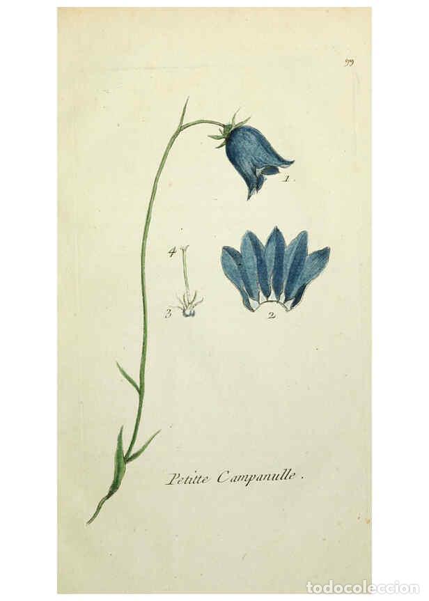 Coleccionismo de Revistas y Peri&oacute;dicos: Reproducci&oacute;n/Reproduction 6056043314: Flora Parisiensis. v.1. Paris,P.F. Didot,1776-1783 - Pierre Bu