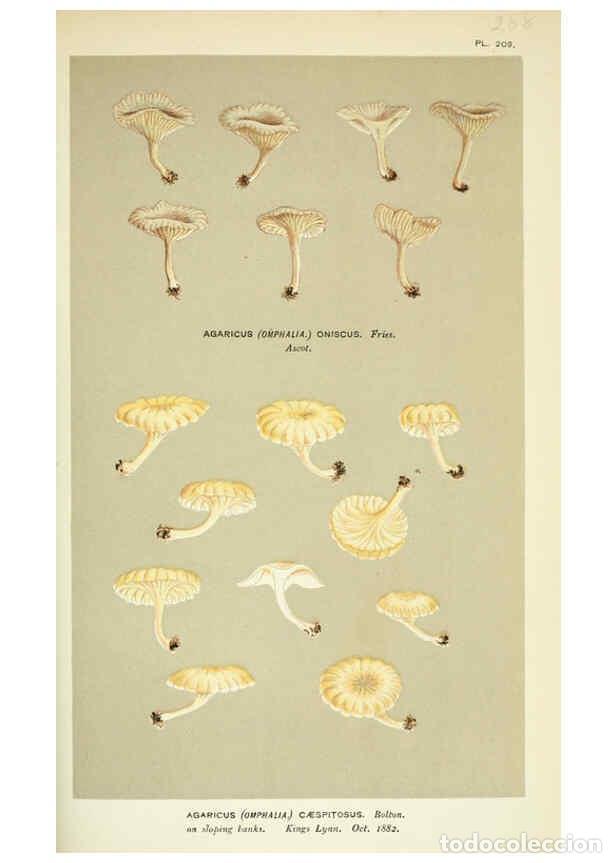 Colecionismo de Revistas e Jornais: Reproducci&oacute;n/Reproduction 6055681095: Illustrations of British fungi (Hymenomycetes) London,Williams
