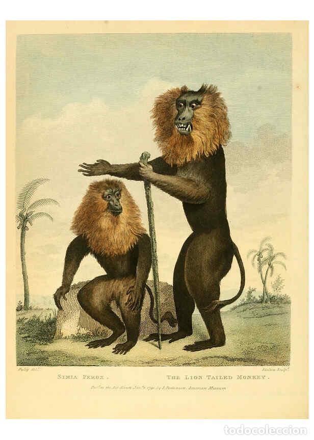 Collectionnisme de Revues et Journaux: Reproducci&oacute;n/Reproduction 6059024763: Musei Leveriani explicatio, anglica et latina [London] :Impens