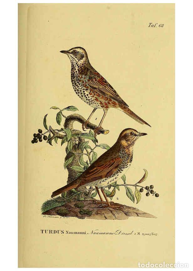 Collectionnisme de Revues et Journaux: Reproducci&oacute;n/Reproduction 6058848007: Johann Andreas Naumann's ... Naturgeschichte der V&ouml;gel Deutsch