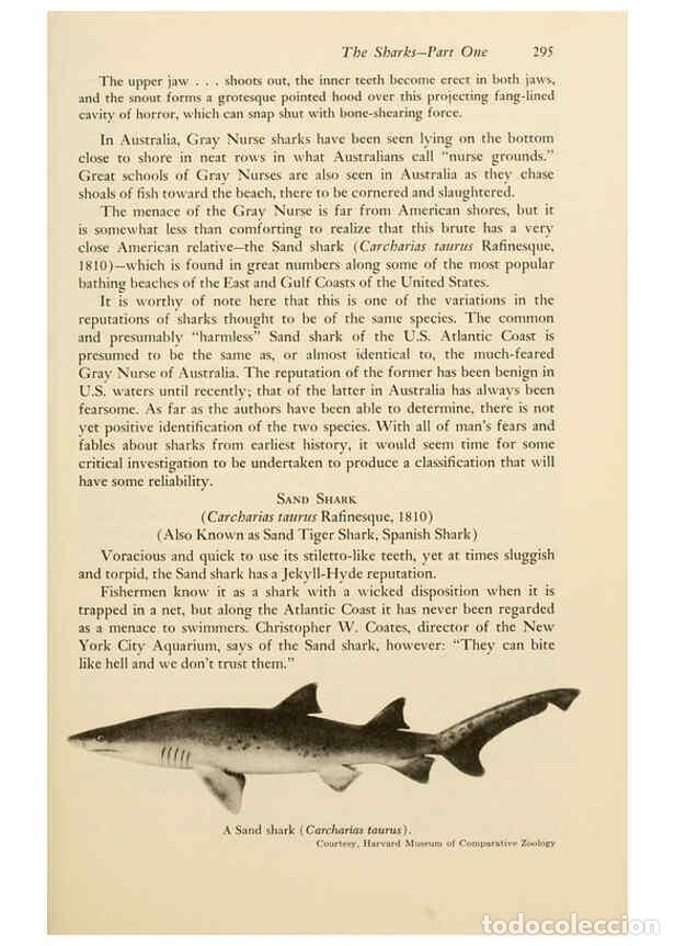 Collectionnisme de Revues et Journaux: Reproducci&oacute;n/Reproduction 6001196189: Shadows in the sea Philadelphia,Chilton Books[1963] - Harold W