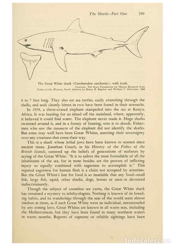 Collezionismo di Riviste e Giornali: Reproducci&oacute;n/Reproduction 6001196609: Shadows in the sea Philadelphia,Chilton Books[1963] - Harold W