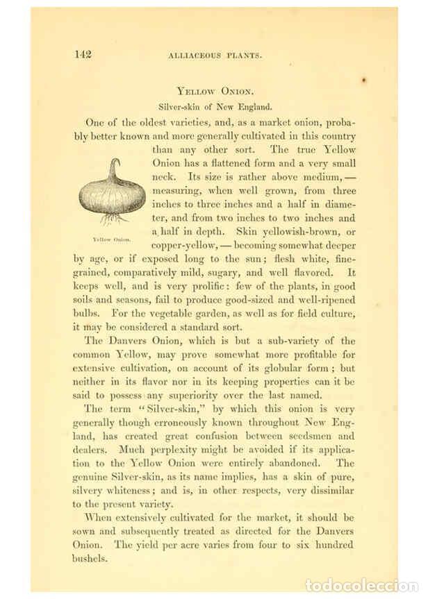 Collezionismo di Riviste e Giornali: Reproducci&oacute;n/Reproduction 6002640318: The field and garden vegetables of America Boston,Crosby and N