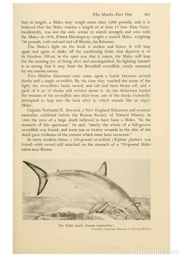 Collezionismo di Riviste e Giornali: Reproducci&oacute;n/Reproduction 6001196807: Shadows in the sea Philadelphia,Chilton Books[1963] - Harold W