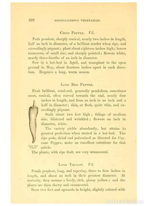 Collezionismo di Riviste e Giornali: Reproducci&oacute;n/Reproduction 6002647810: The field and garden vegetables of America Boston,Crosby and N