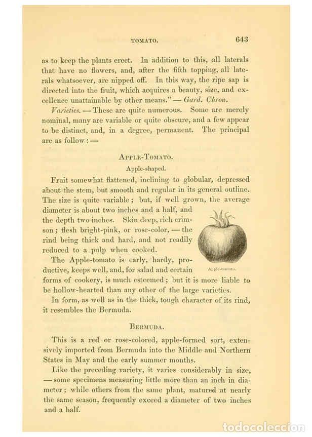 Collezionismo di Riviste e Giornali: Reproducci&oacute;n/Reproduction 6002102767: The field and garden vegetables of America Boston,Crosby and N